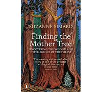 Finding the Mother Tree: Uncovering the Wisdom and Intelligence of the Forest