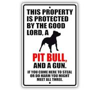 Findkate Targa in alluminio con scritta in lingua inglese "This Property is Protected by The Good Lord A Pit Bull Dog", decorazione per la casa, decorazione per le vacanze