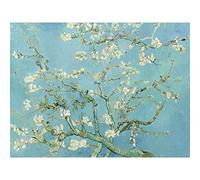 Fine Art Prints Poster da parete di Vincent Van Gogh con fiori di mandorla