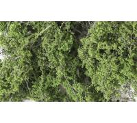 Fine Leaf Foliage - Medium Green