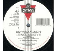 FINE YOUNG CANNIBALS - i'm not the man i used to be