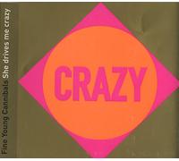 Fine Young Cannibals - She Drives Me Crazy