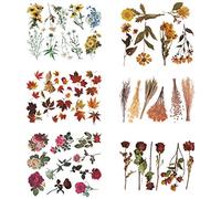 FineInno 48 pezzi Adesivi Fiori per Resina Epossidica, Trasparenti Flower Stickers, Adesivi per Resina Fai-da-Te, Decorativi Scrapbooking, Album Foto, Diario, Laptop (48 pezzi)