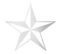 Finest Folia Set di 2 adesivi per auto, con stella nautica, per auto, moto, rimorchio, US Star, autoadesivi, resistenti alle intemperie, accessori per auto KX090 (argento, 20 x 20 cm)