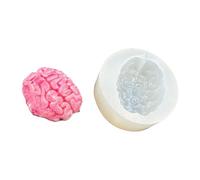 Finitura a specchio resistente al calore stampi cervello in silicone Superfici lisce per progetti scientifici anatomia educativa educazione stampo A Natomie