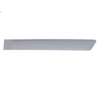 Finiture decorative BLIC 5703-04-2564477CP per FORD FIESTA V Van 1.3 2003-2005