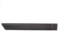 Finiture decorative BLIC 5703-04-2576574PP per FORD FUSION (JU_) 1.6 2002-2009