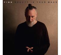 Fink Beauty in Your Wake (CD) Album Digibook