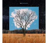Fink - Bloom Innocent