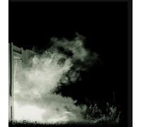 FINK - Fink-Fall Into the Light Pilgrim 12"|"Fink