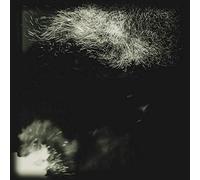 FINK - Fink-Fall Into the Light Pilgrim 12"|"Fink