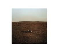 Fink - The City Is Coming To Erase It All (CD)