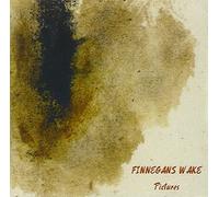 Finnegans Wake - Picture