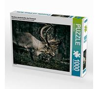 Finnmark - Puzzle orizzontale da 1000 pezzi con renna