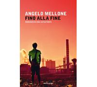 Fino alla fine. Romanzo di una catastrofe - Mellone Angelo