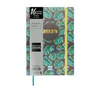 Finocam - Agenda Dotted 16 Mesi 2023 2024 Settimana Layout Orizzontale Settembre 2023 - Dicembre 2024 (16 mesi) Monstera Internazionale