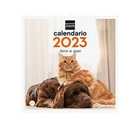 Finocam - Calendario 2023 Immagini da parete 30x30 per scrivere Gennaio 2023 - Dicembre 2023 (12 mesi) Cani e gatti Spagnolo