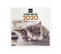 Finocam - Calendario da parete 2020 immagini 30 x 30 gattini spagnola