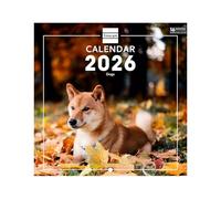 Finocam - Calendario da parete 2026 18 x 18 cm Mese Vista Gennaio - Dicembre 2026 + Sep.- Dic. 2025 4 mesi ridotti | Calendario 2026 | Immagini Dogs - Internazionale, Muro Imagini