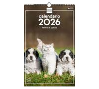 Finocam - Calendario da parete 2026 25x40 cm Mese Vista Gennaio - Dicembre 2026 + Sep.- Dic. 2025 (4 mesi) ridotti | Calendario 2026 | Cani e gatti Immagini - Italiano
