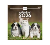 Finocam - Calendario da parete 2026 30 x 30 cm 1 mese per pagina gennaio - dicembre 2026 + settembre dic. 2025 (4 mesi) ridotti | Calendario2026 | Immagini Cani e gatti Francese