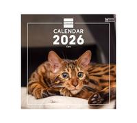Finocam - Calendario da parete 2026 30 x 30 cm Mese Vista Gennaio - Dicembre 2026 + Sep.- Dic. 2025 4 mesi ridotti | Calendario 2026 | Cats Immagini - Internazionale, Muro Imagini