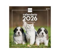 Finocam - Calendario da parete 2026 30 x 30 cm Mese Vista Gennaio - Dicembre 2026 + Sep.- Dic. 2025 (4 mesi) ridotti | Calendario 2026 | Cani e gatti Immagini - Italiano