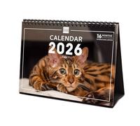 Finocam - Calendario da tavolo 2026 Mese Vista Gennaio - Dicembre 2026 + Sep.- Dic. 2025 4 mesi ridotti | Calendario 2026 | Cats Immagini - Internazionale, Tavolo Imagini, S - 210x150 mm