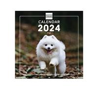 Finocam - Calendario Immagini da Parete 2024 Gennaio 2024 - Dicembre 2024 (12 mesi) Dogs Internazionale