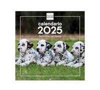 Finocam - Calendario Immagini da Parete 30x30 per Scrivere 2025 Mese Vista Gennaio 2025 - Dicembre 2025 (12 mesi) Cuccioli Spagnolo