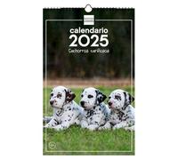 Finocam - Calendario Immagini da Parete Spirale per Scrivere 2025 Mese Vista Gennaio 2025 - Dicembre 2025 (12 mesi) Cuccioli Spagnolo