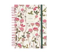 Finocam - Ricarica annuale piatta 2026 Mese Vista Gennaio 2026 - Dicembre 2026 (12 mesi) Catalano