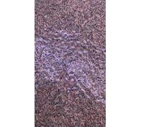 FINOCCHIETTO SELVATICO BUSTA DA 1 KG DONNE LAVORO CALABRIA GUSTO E TRADIZIONE