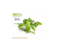 Finocchio selvatico in semi conf.da 1kg erba aromatica pronta per preparati