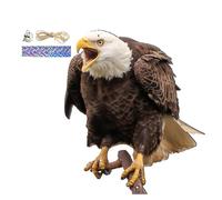 Finta Aquila Esca per spaventare Gli Uccelli, Protezione da Giardino, Ciondolo Repellente per Uccelli, Decorativo e Impermeabile, spaventapasseri per Uccelli Finti | Gufo Finto spaventapasseri