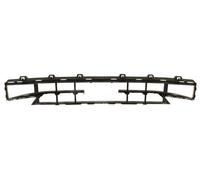 Finta Grata Griglia di Ventilazione Frontale Adatta: BMW 1 F40 07.19