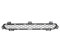 Finta Grata Griglia di Ventilazione Frontale Adatta: BMW X3 F25 09.10-04.14
