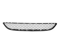 Finta Grata Griglia di Ventilazione Frontale Adatto Zu: BMW X6 E71,E72