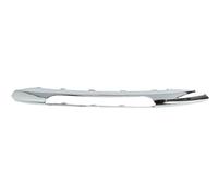 Finta Griglia Fendinebbia Sinistra Per: MERCEDES B-CLASS W246/W242 11.11-09.