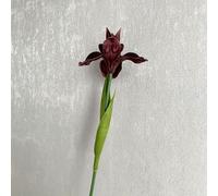 Finto Fiore Artificiale Viola Scuro Casa Iris Luce Poliuretano Ecopelle