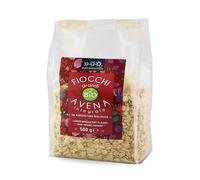 Fiocchi Grandi di Avena Integrale