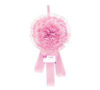 Fiocco Nascita Rosa CHICCO