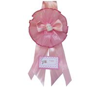 Fiocco Nascita Rosa Tondo con Gessetto (Biberon) Dipinto a Mano