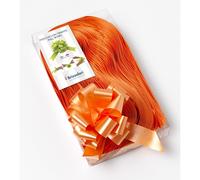 Fiocco Rapido Arancione opaco 30 pz x 31 mm