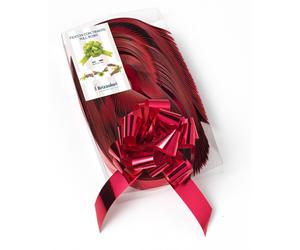 Fiocco Rapido Lucido Rosso per laurea e per albero di Natale 30 pz 31 mm