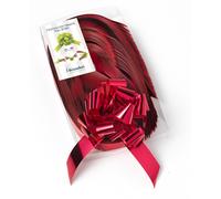 Fiocco Rapido Lucido Rosso per laurea e per pacchi regalo di Natale 50Pz 31Mm
