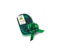 Fiocco Rapido Lucido Verde per laurea e per matrimonio 50 Pz 31 Mm