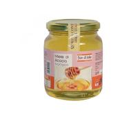 MIELE DI ACACIA BIO 500G FDL