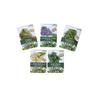 FIORAL-OFFERTA 5 BUSTE Di Semi Da Piantare-Timo, Lavanda Vera, Menta, Camomilla comune, Melissa. Sementi Selezionate e di Alta Qualità. L'ortolano Fioral.