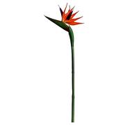 Fiore artificiale del paradiso Fiore di strelitzia in plastica finta con stelo lungo per la decorazione domestica Fiore di strelitzia artificiale
